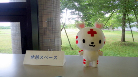 学校見学・進学相談会