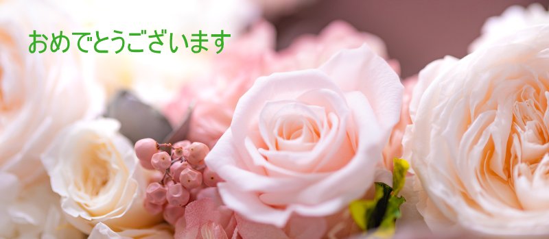 おめでとうございます